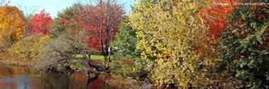 Watertown Single Family Housing Report